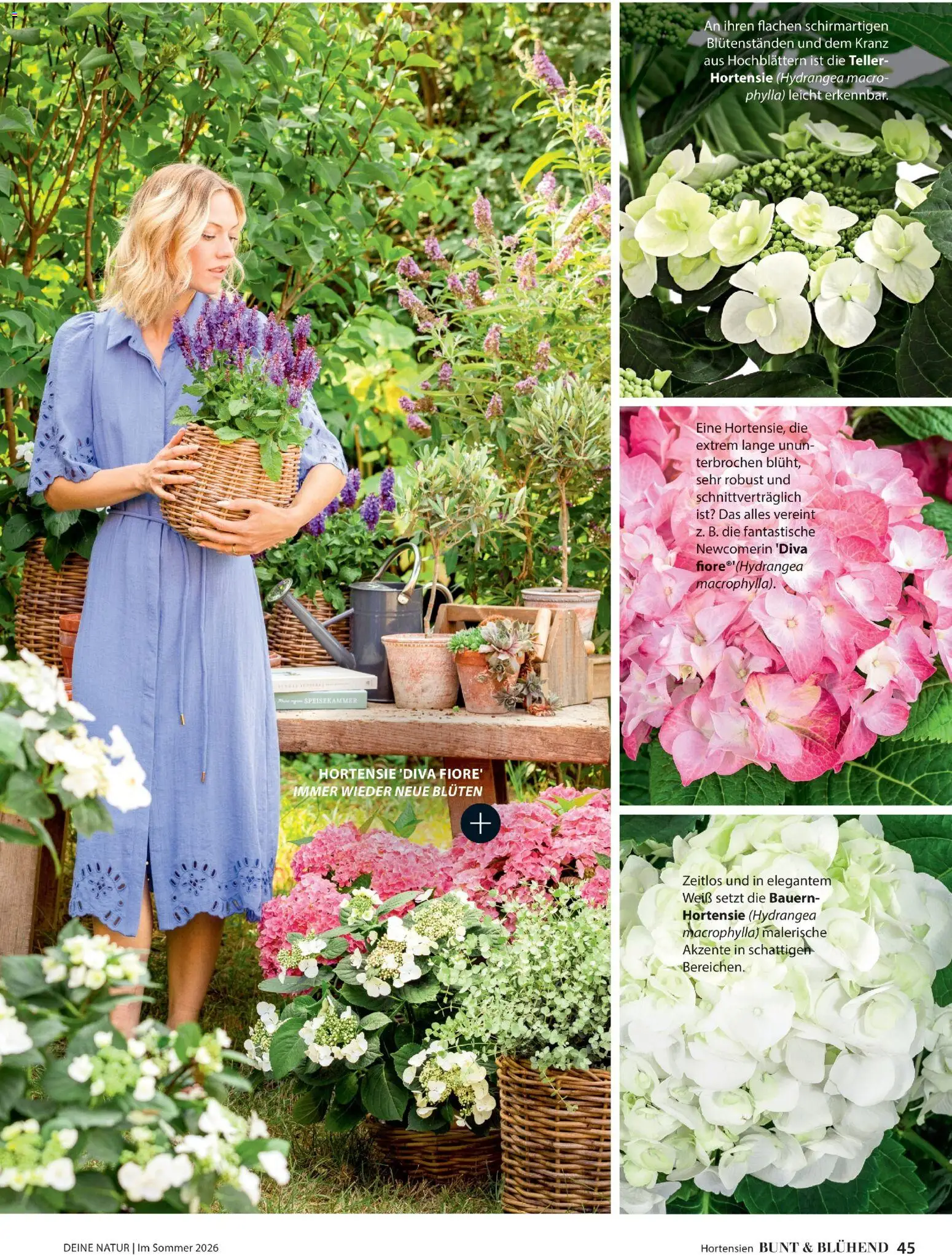 Dehner Prospekt 	 - Seite 45 - gültig ab 17.04.2026