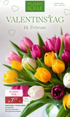 Vorschau Pflanzen-Kölle Valentinstag gültig ab 09.02.2026