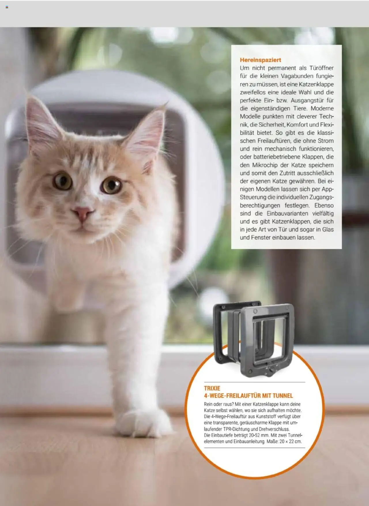 zookauf Themenkatalog Katze - Seite 41 - gültig ab 01.10.2025