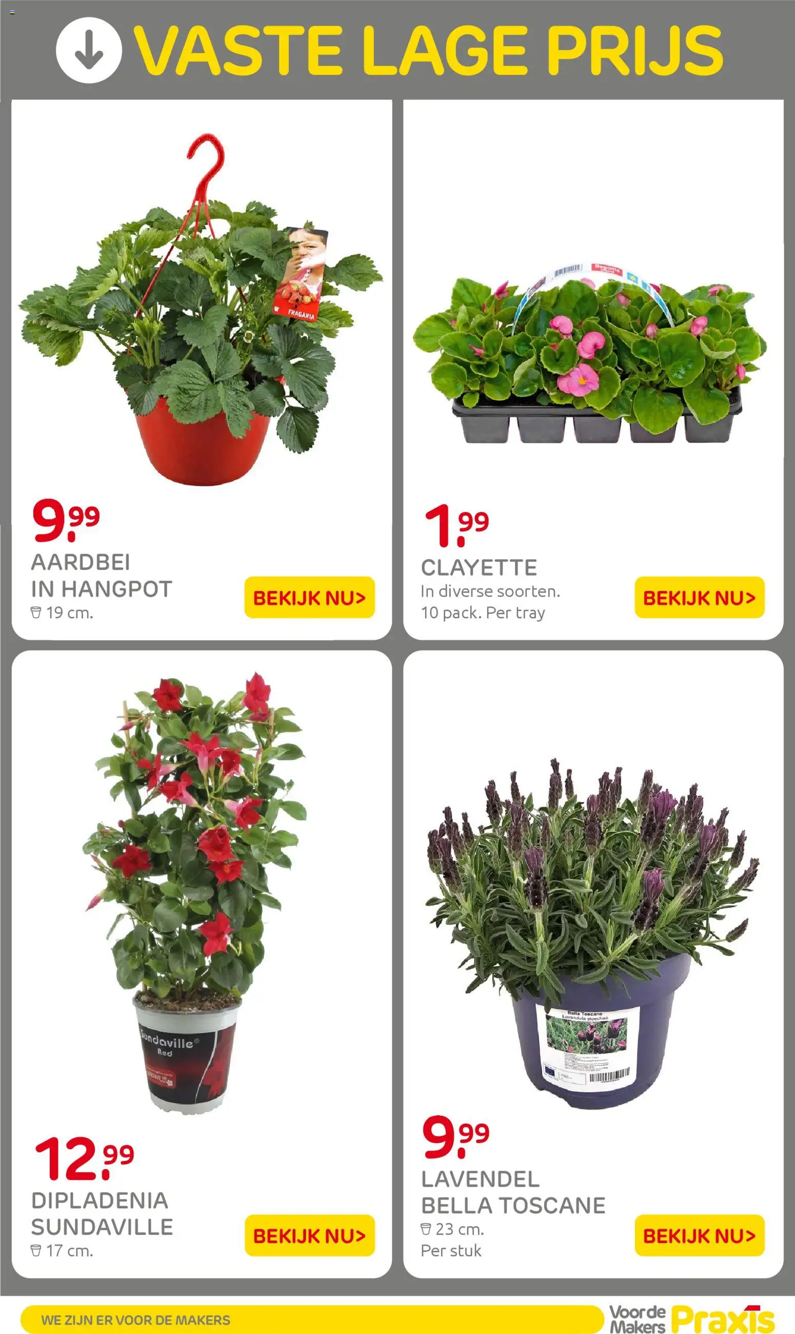 Praxis folder - page 27- valid from 30-03-2026