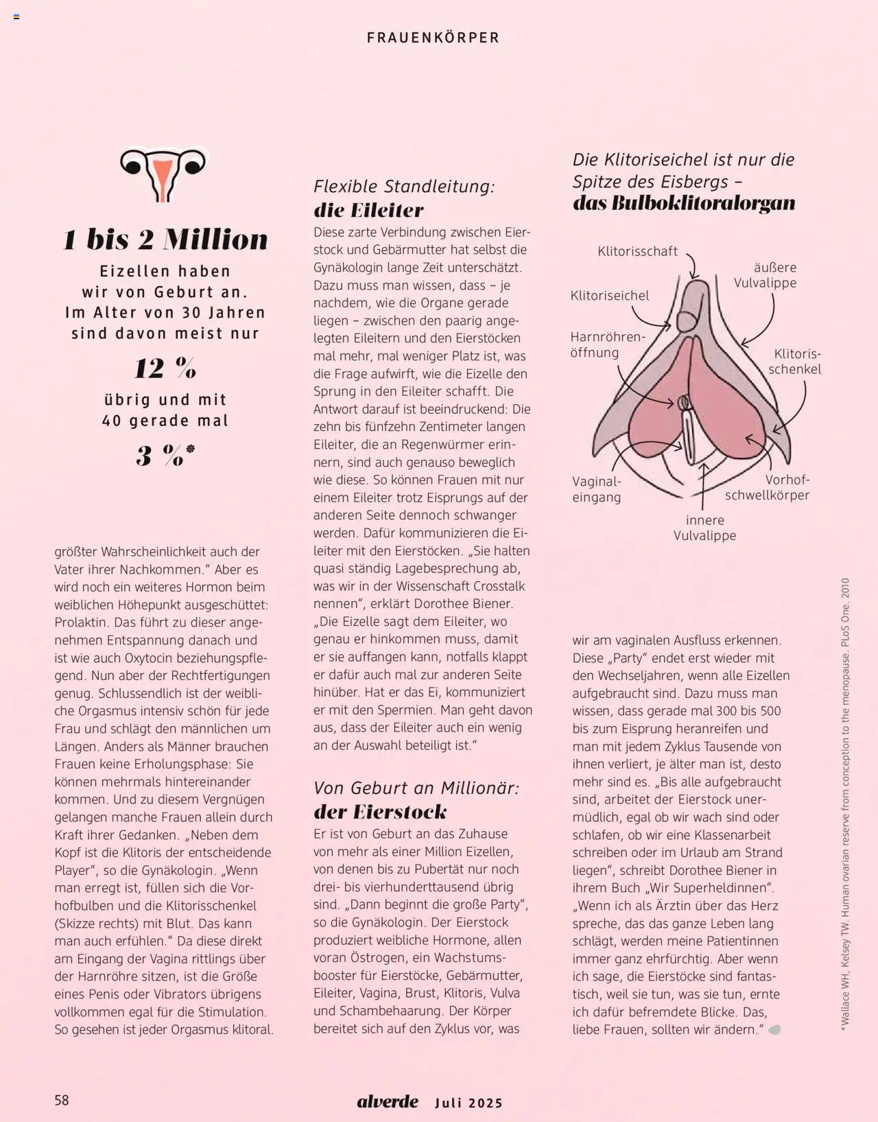 dm drogerie Prospekt 	 - Seite 58 - gültig ab 01.07.2025