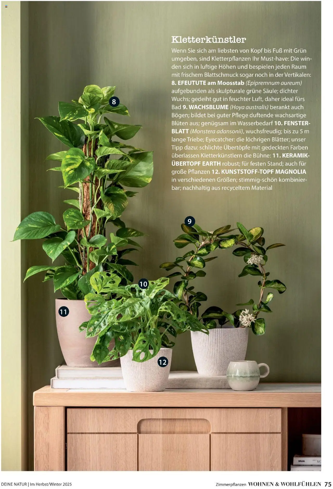 Dehner Prospekt Deine Natur - Seite 75 - gültig ab 09.10.2025