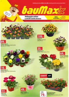 Náhled BAUMAX leták platný od 01.03.2026
