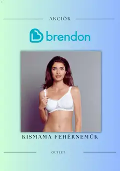 Előnézet Brendon Akciós újság érvényes 2025.11.13.-tól