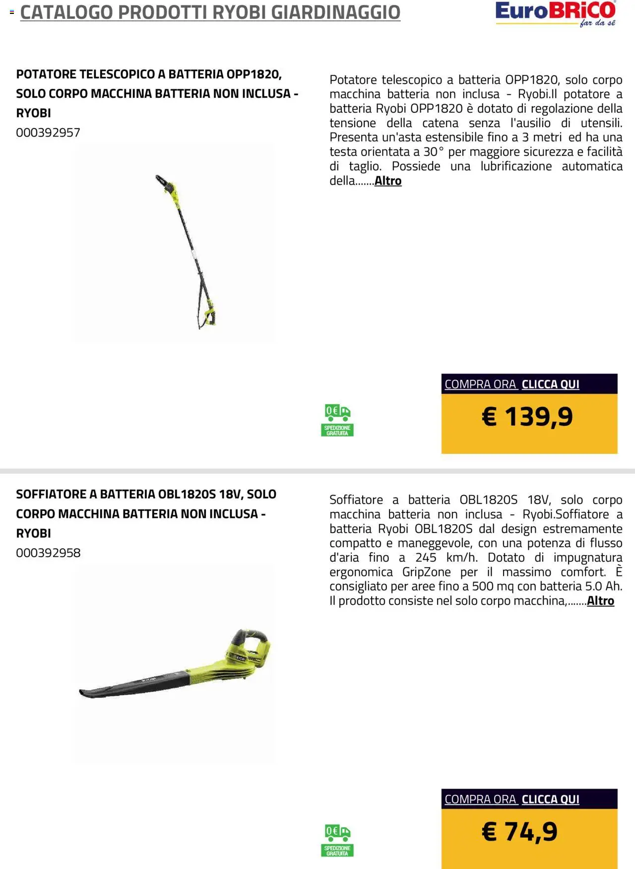Eurobrico Prodotti Ryobi Giardinaggio catalogo - pagina 6 - valido dal 23/07/2025
