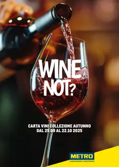 Anteprima Metro Vini autunno catalogo valida dal 25/09/2025