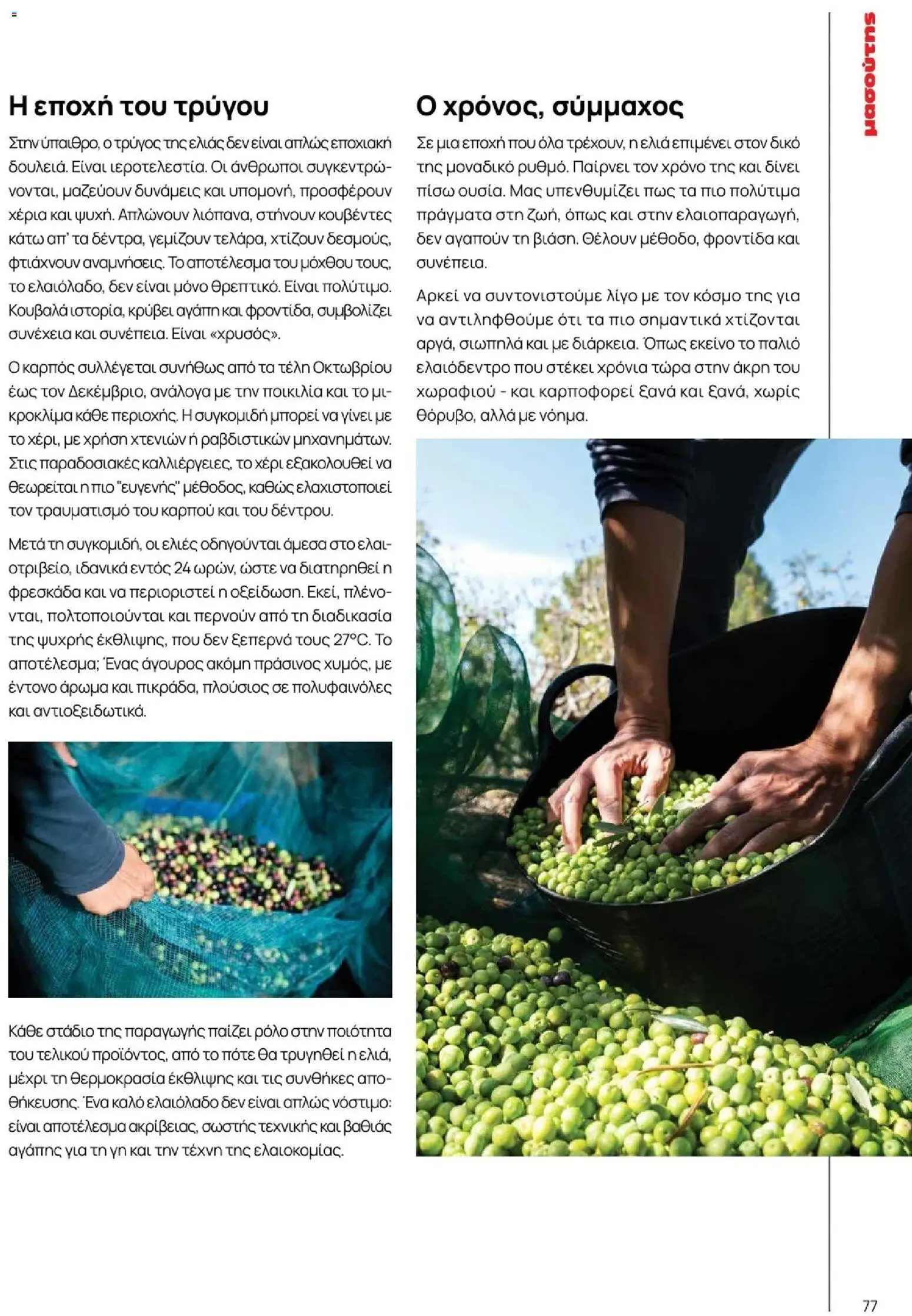 Μασούτης - Φθινόπωρο - Γεύσεις & εμπνεύσεις - page 77- valid from 09/11/2025