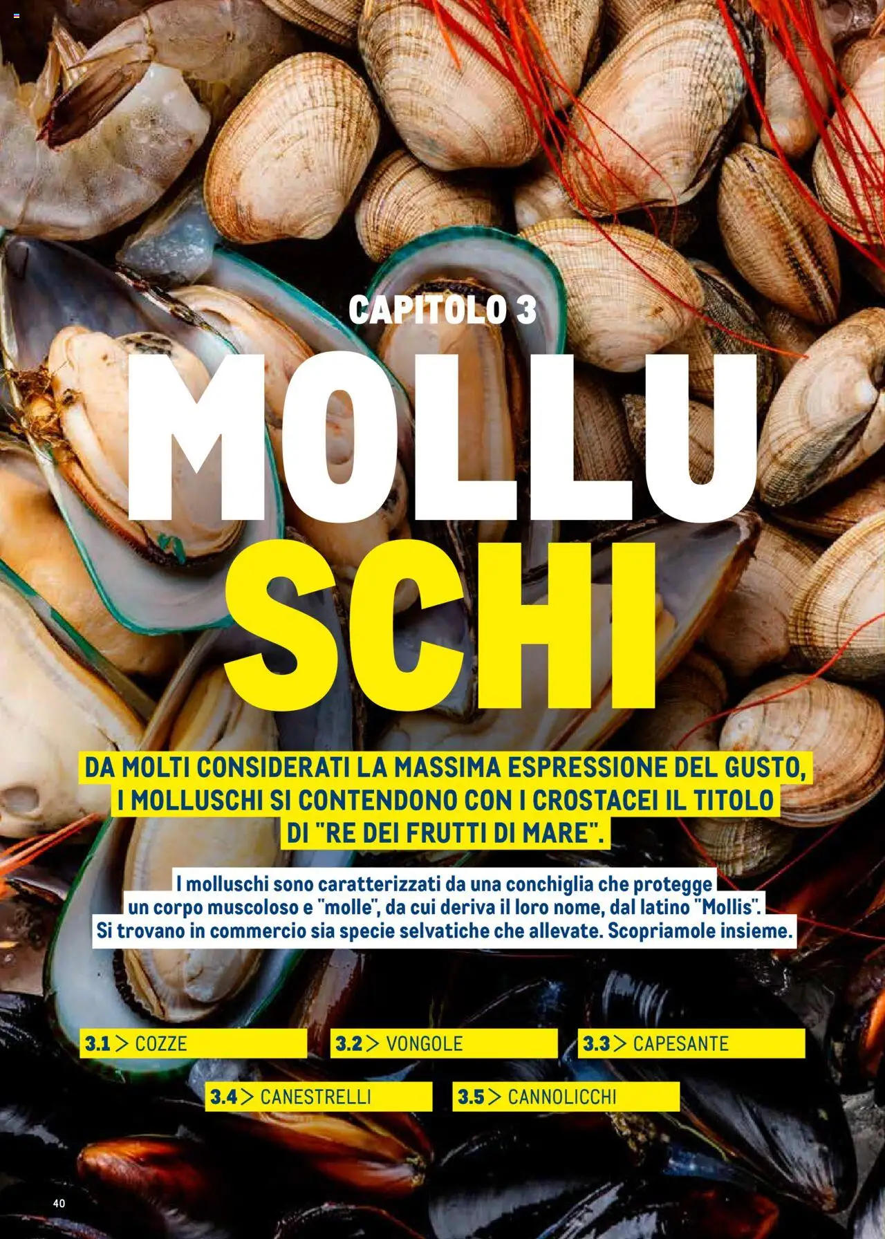 Metro Surgelati 2025 catalogo - pagina 40 - valido dal 30/06/2025