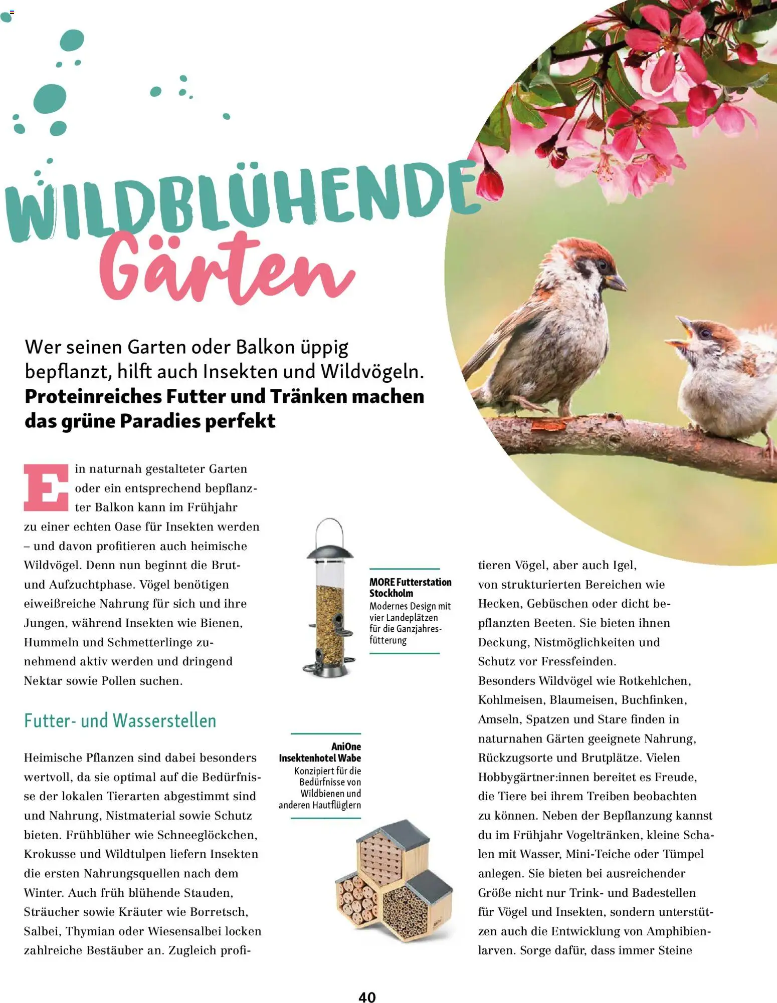 Fressnapf Friends Magazin - Seite 40 - gültig ab 02.03.2026