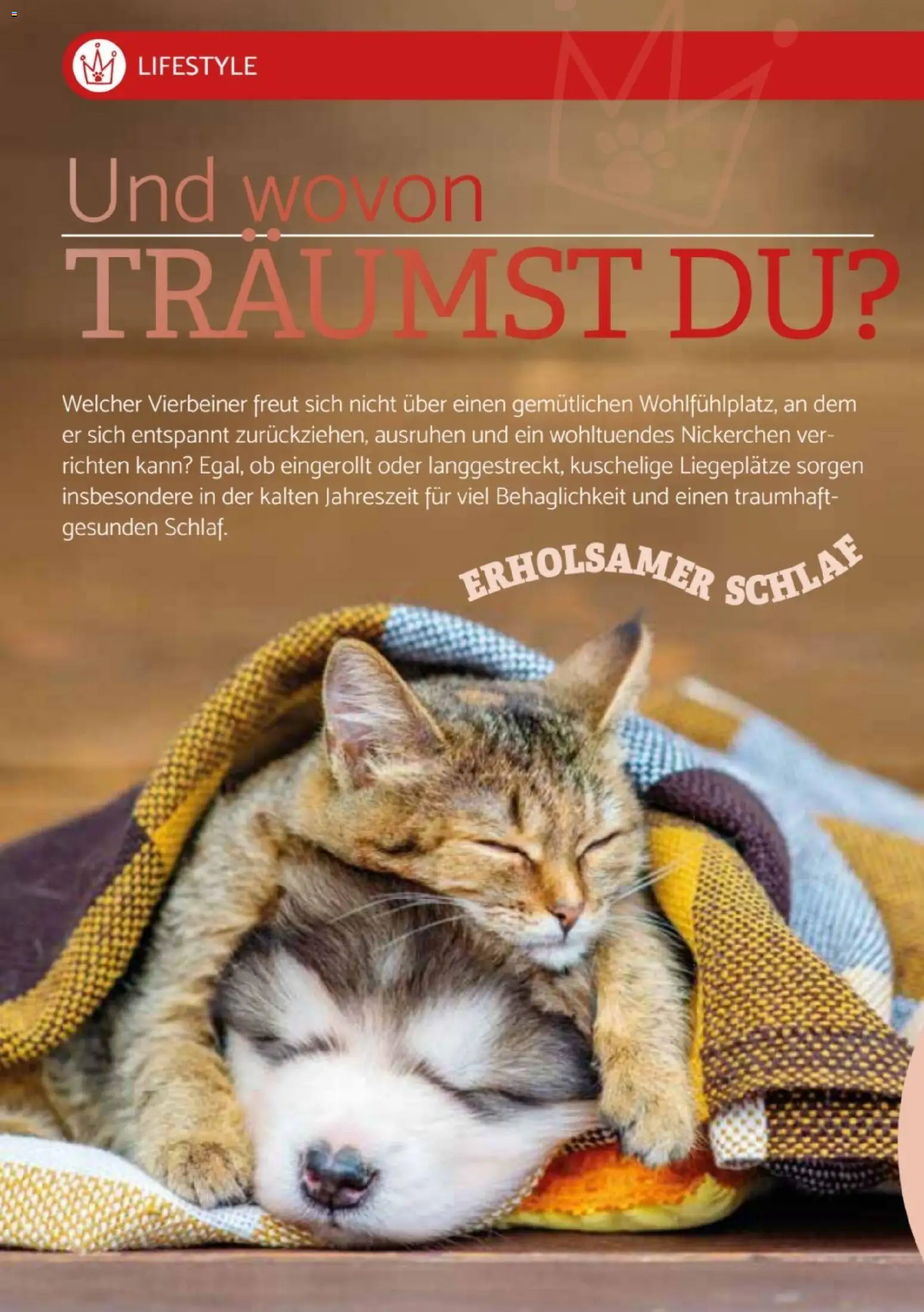 zookauf  Heimtier Journal Special - Seite 4 - gültig ab 01.12.2025