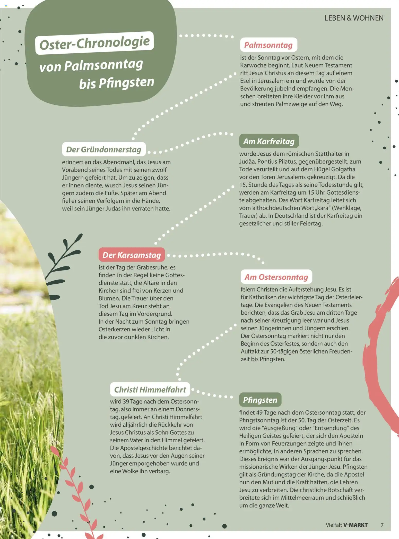 V-Markt Vielfalt März / April - Seite 7 - gültig ab 01.03.2026