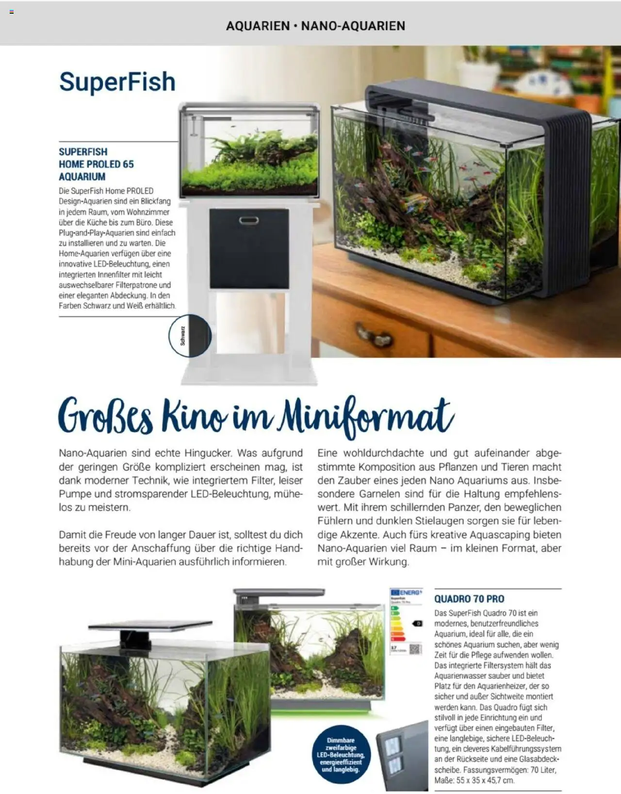 zookauf Themenkatalog Aquaristik - Seite 11 - gültig ab 01.10.2025