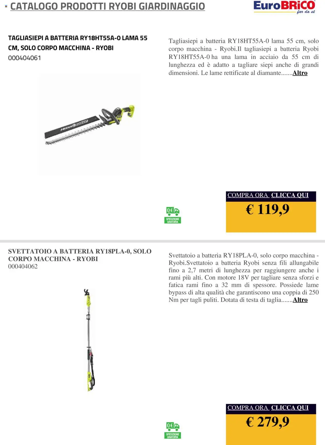 Eurobrico Prodotti Ryobi Giardinaggio catalogo - pagina 31 - valido dal 23/07/2025