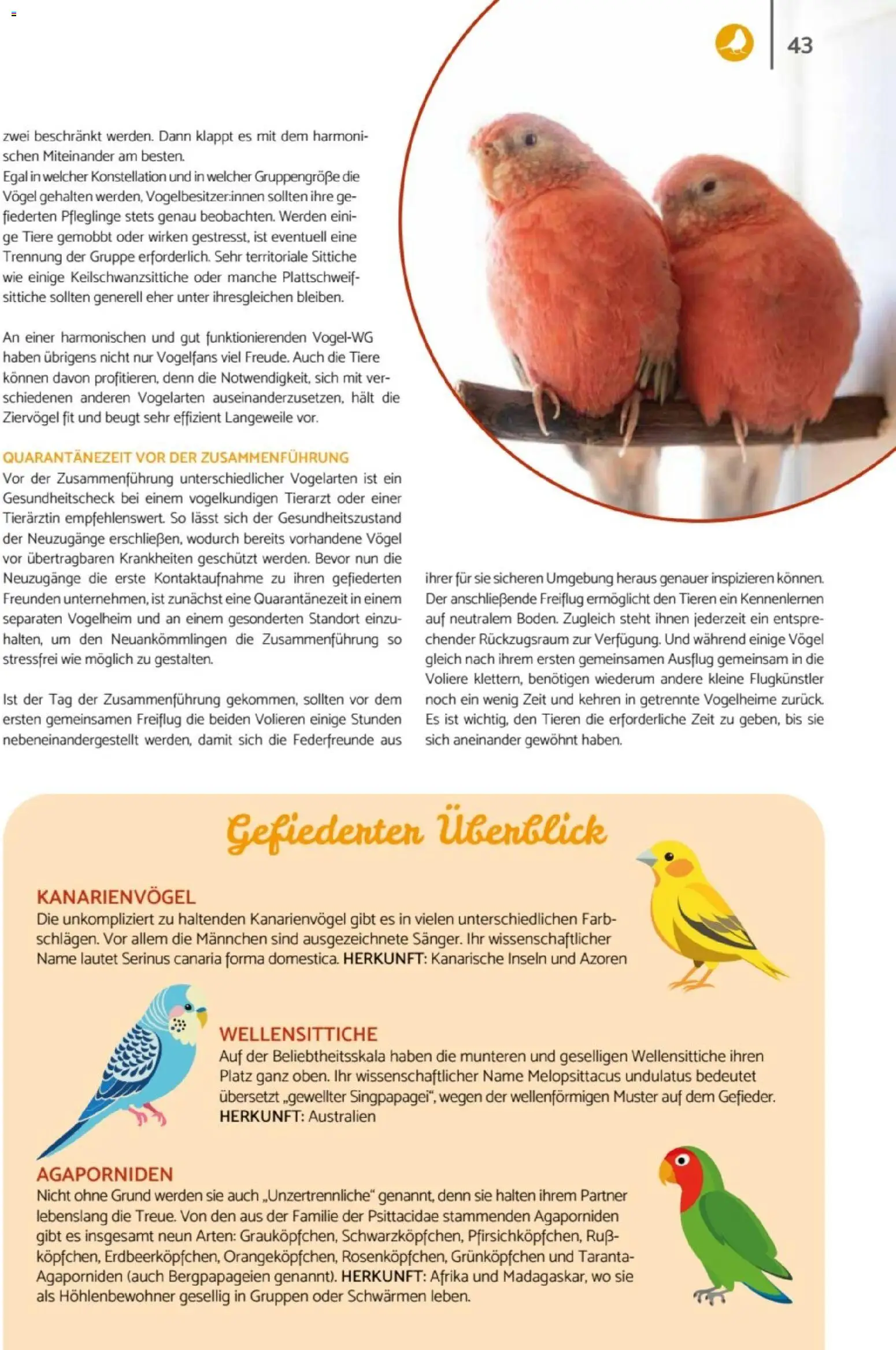 zookauf - Heimtier Journal - Seite 43 - gültig ab 01.12.2025