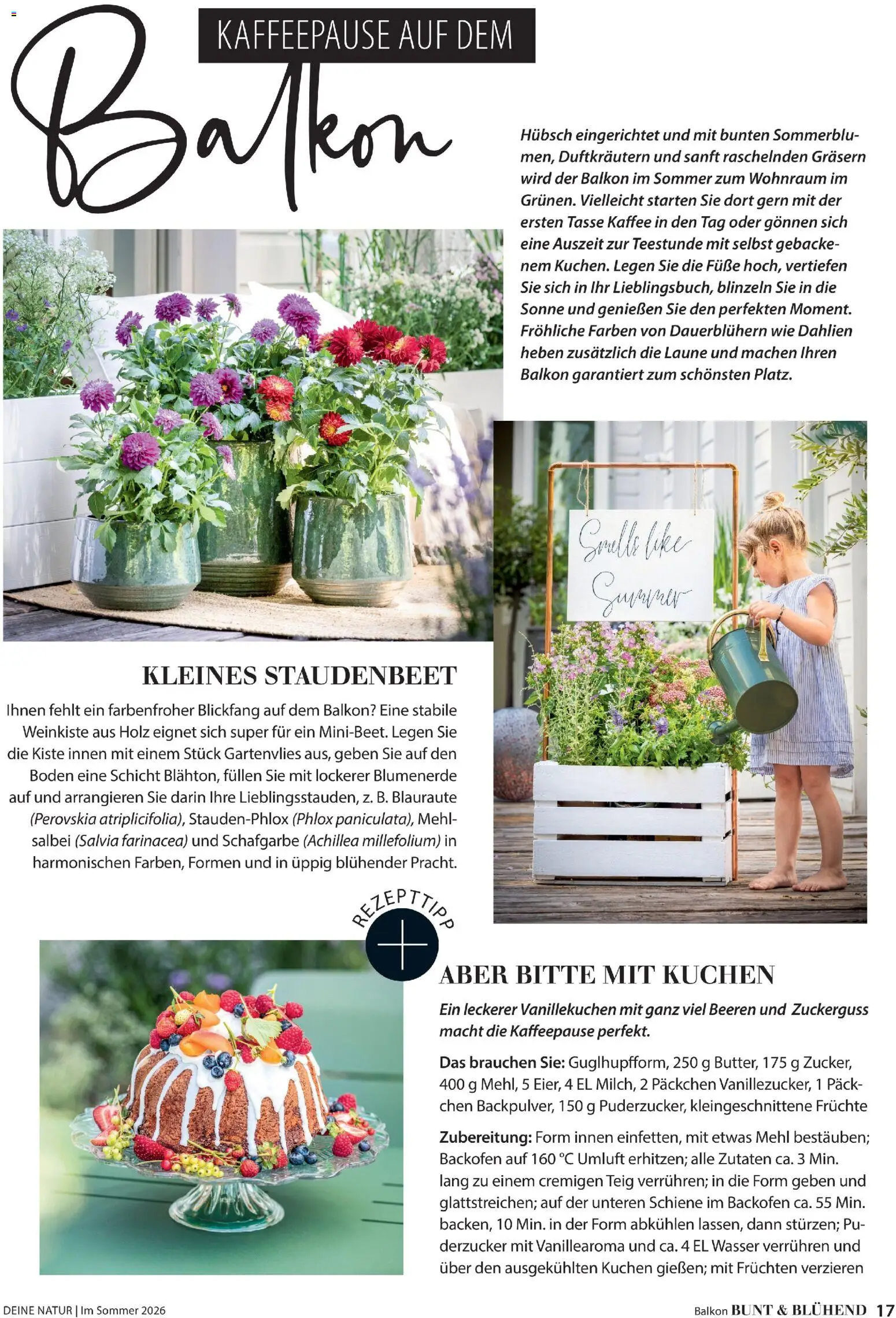 Dehner Prospekt 	 - Seite 17 - gültig ab 17.04.2026