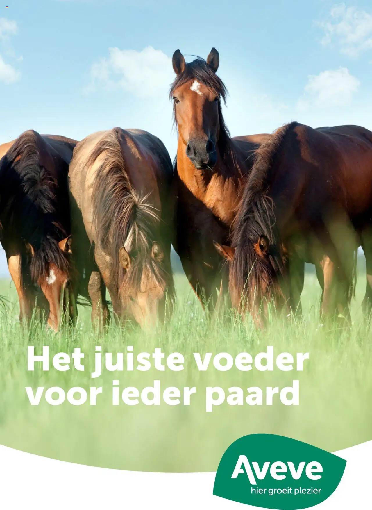 Aveve Gids paardenvoer - pagina 1- geldig vanaf 24/10/2024