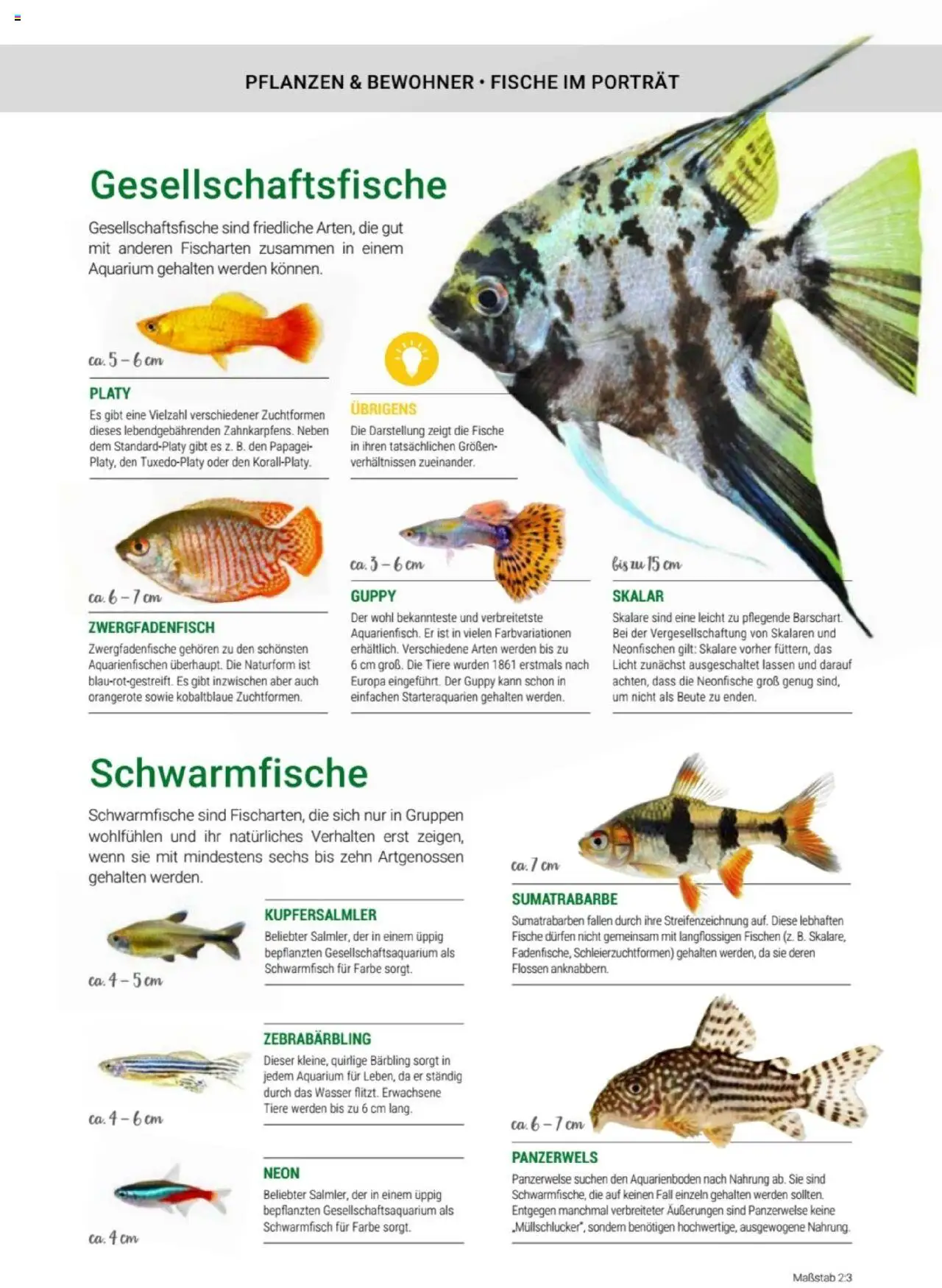 zookauf Themenkatalog Aquaristik - Seite 29 - gültig ab 01.10.2025