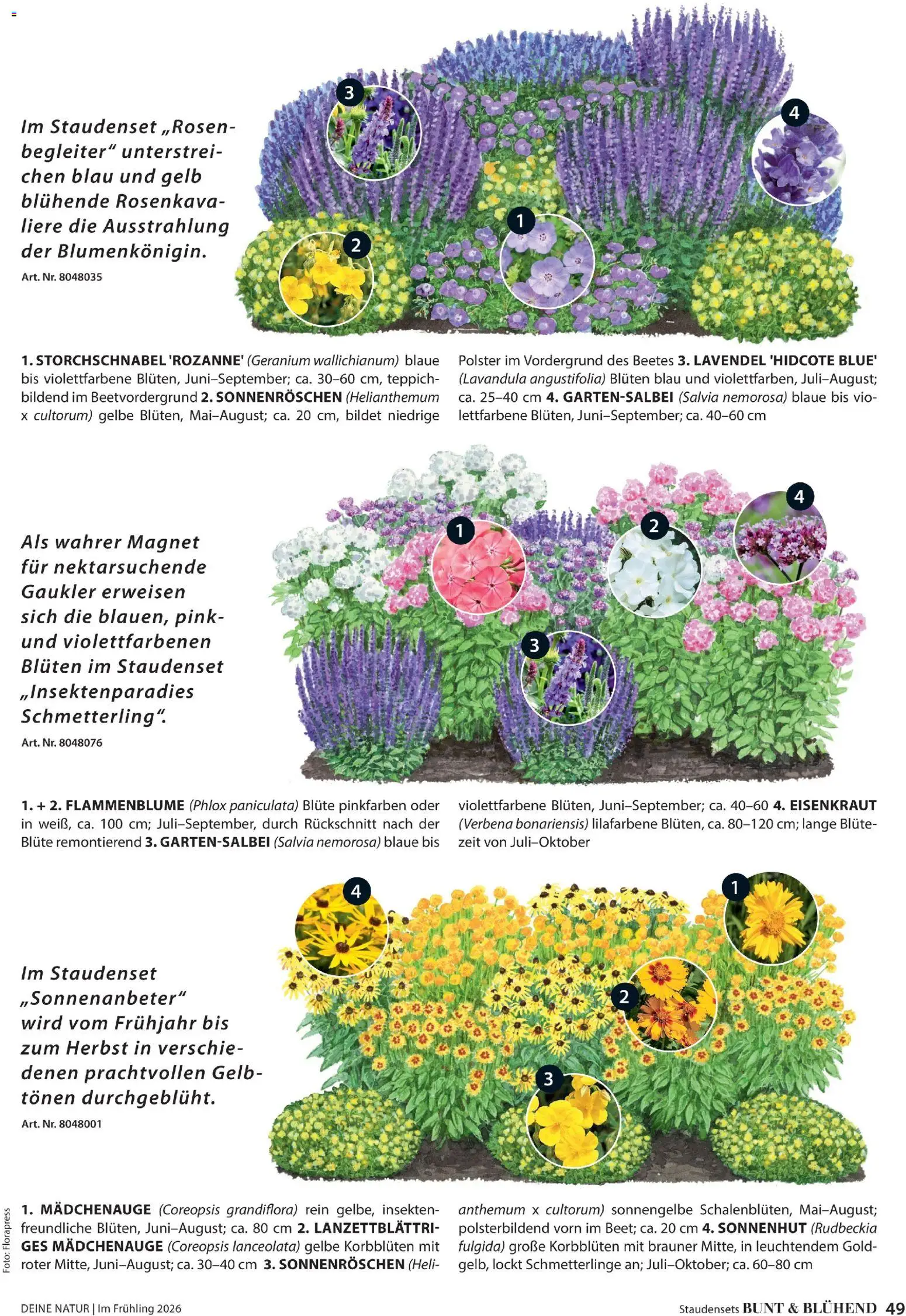 Dehner Prospekt 	 - Seite 49 - gültig ab 04.03.2026