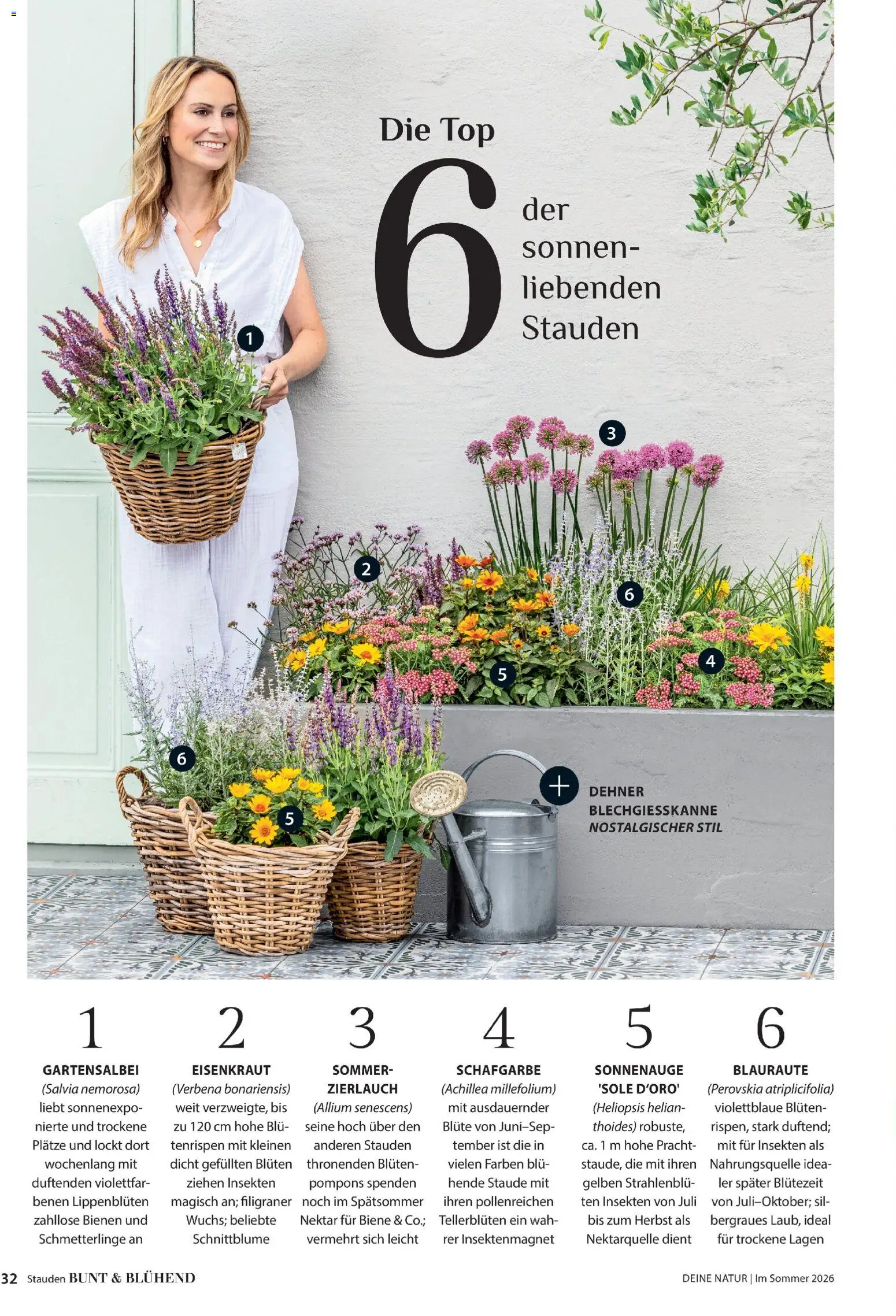 Dehner Prospekt 	 - Seite 32 - gültig ab 17.04.2026