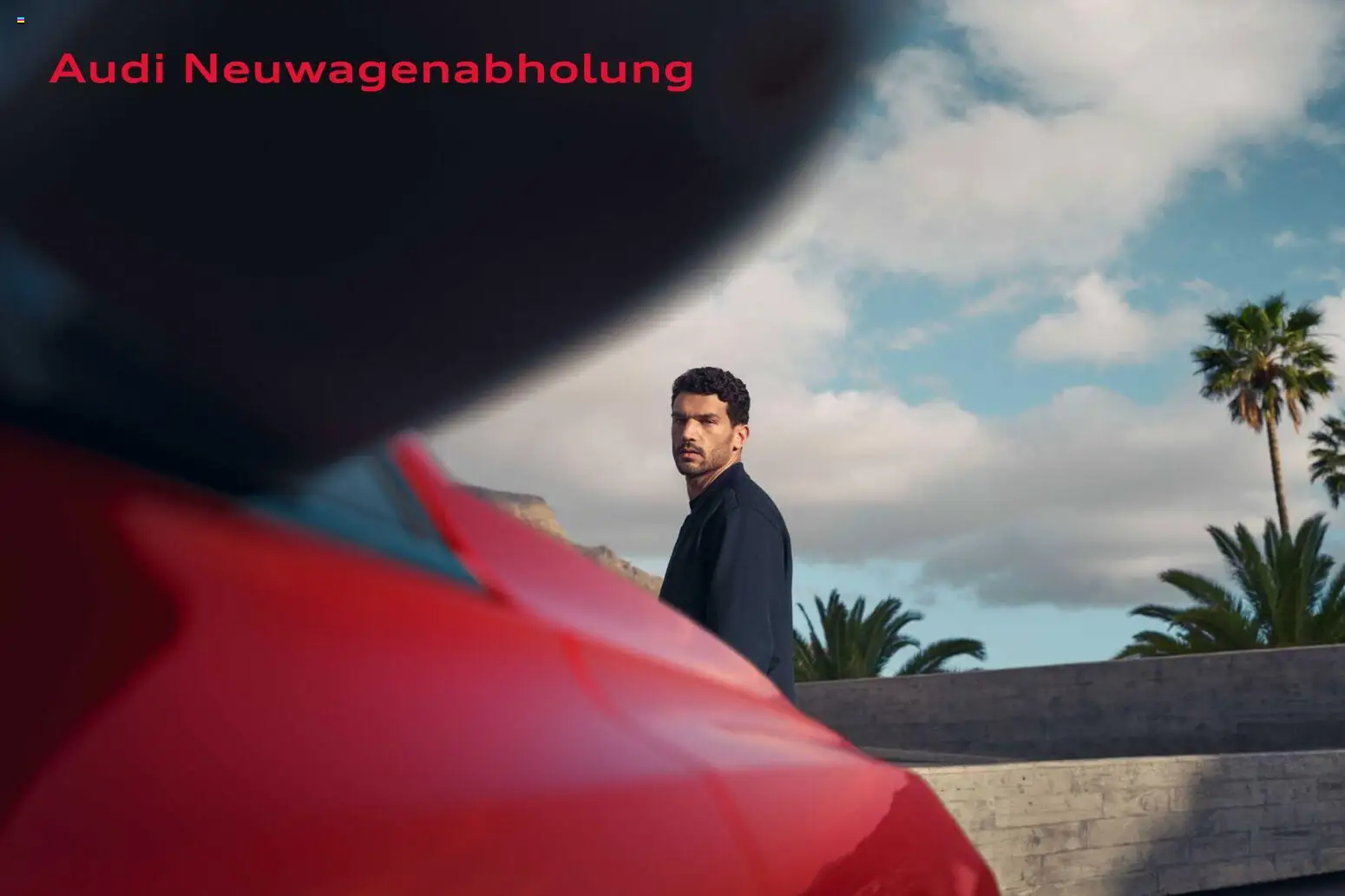 Audi RS Q8 / RS Q8 performance - Seite 94 - gültig ab 27.11.2025