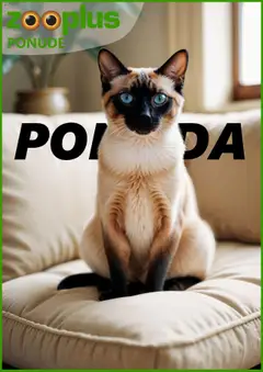 Zooplus katalog od 26.06.2025