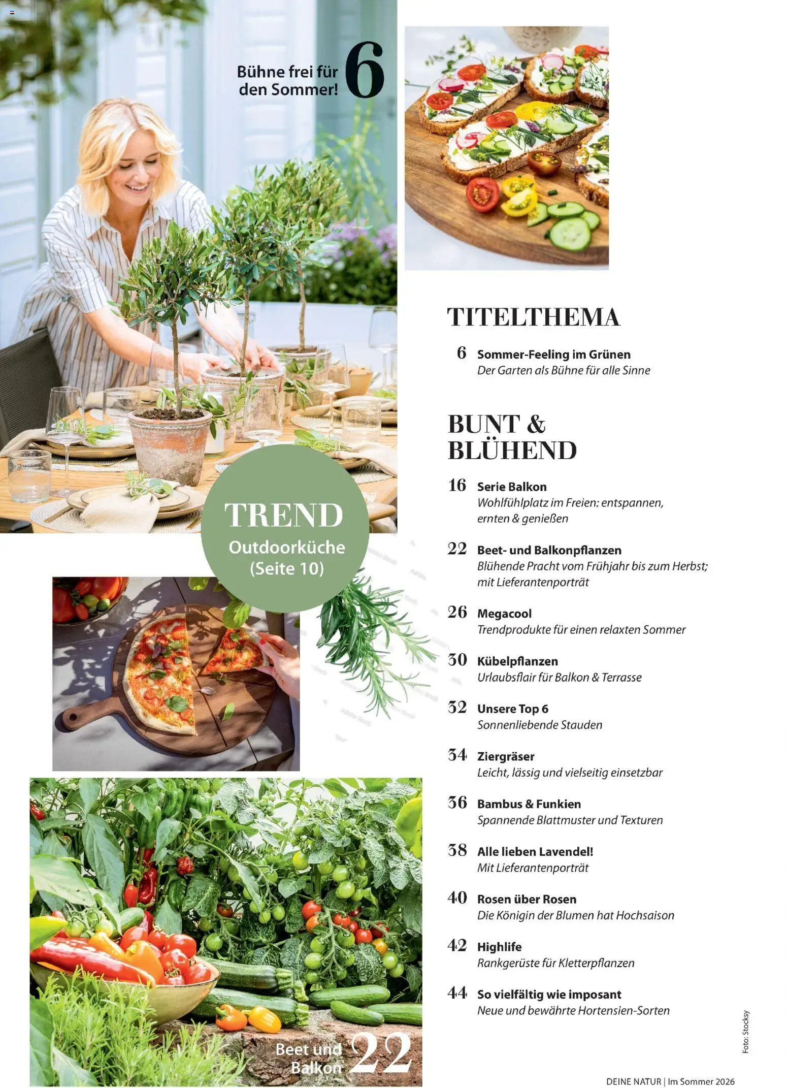 Dehner Prospekt 	 - Seite 4 - gültig ab 17.04.2026