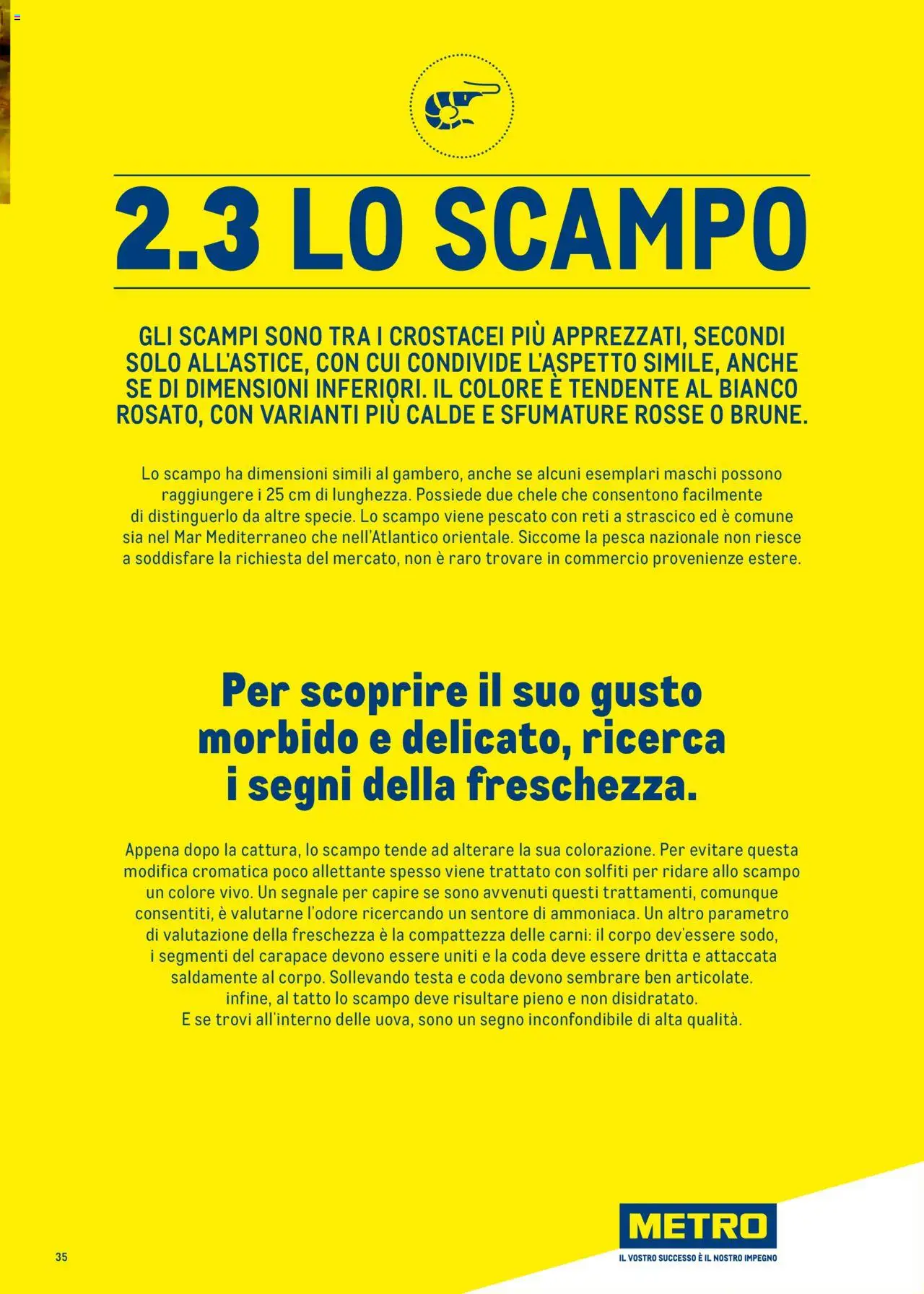 Metro Surgelati 2025 catalogo - pagina 35 - valido dal 30/06/2025