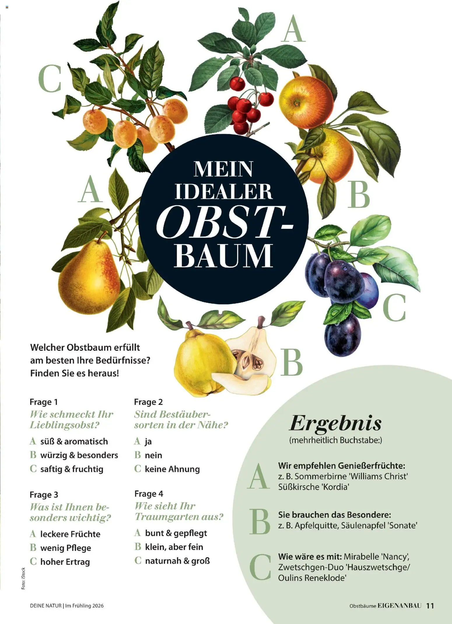 Dehner Flugblatt - page 11- valid from 05.03.2026