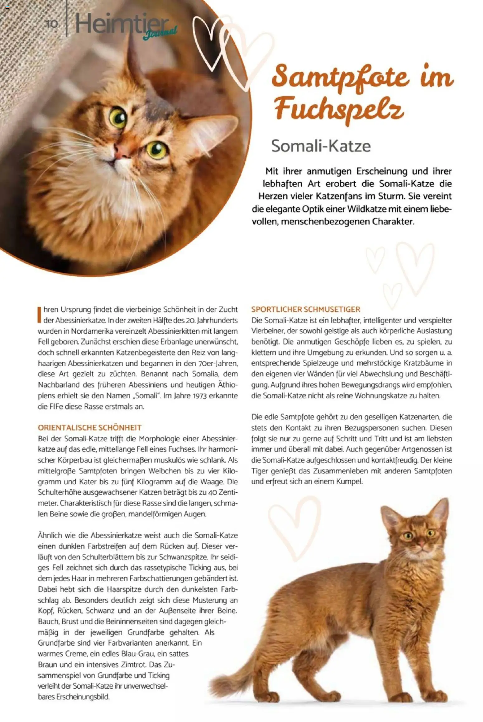 zookauf  Heimtier Journal - Seite 10 - gültig ab 01.02.2026