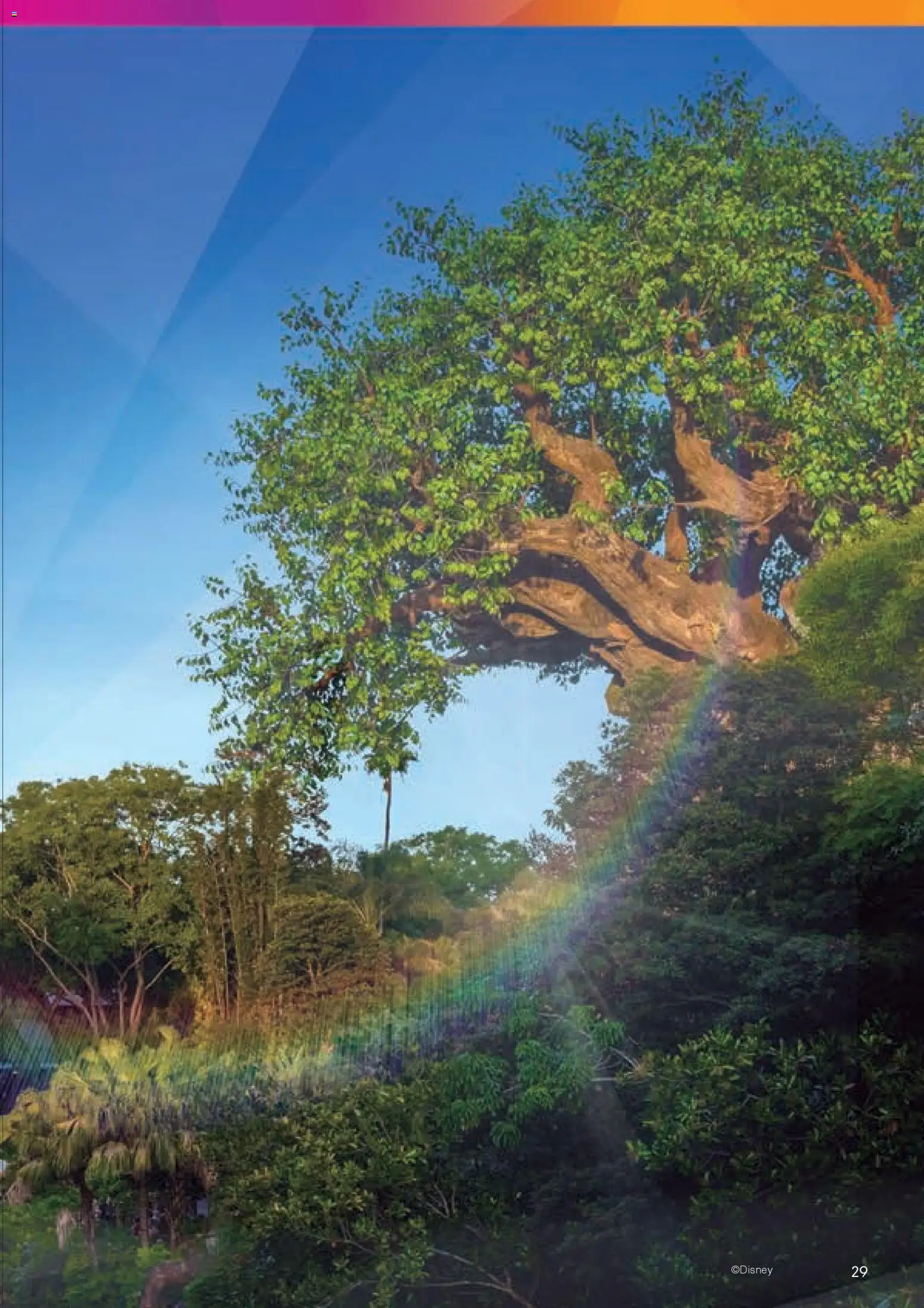 Viajes El Corte Inglés Folleto Walt Disney World - Página de 29 - Válido desde 03/12/2025