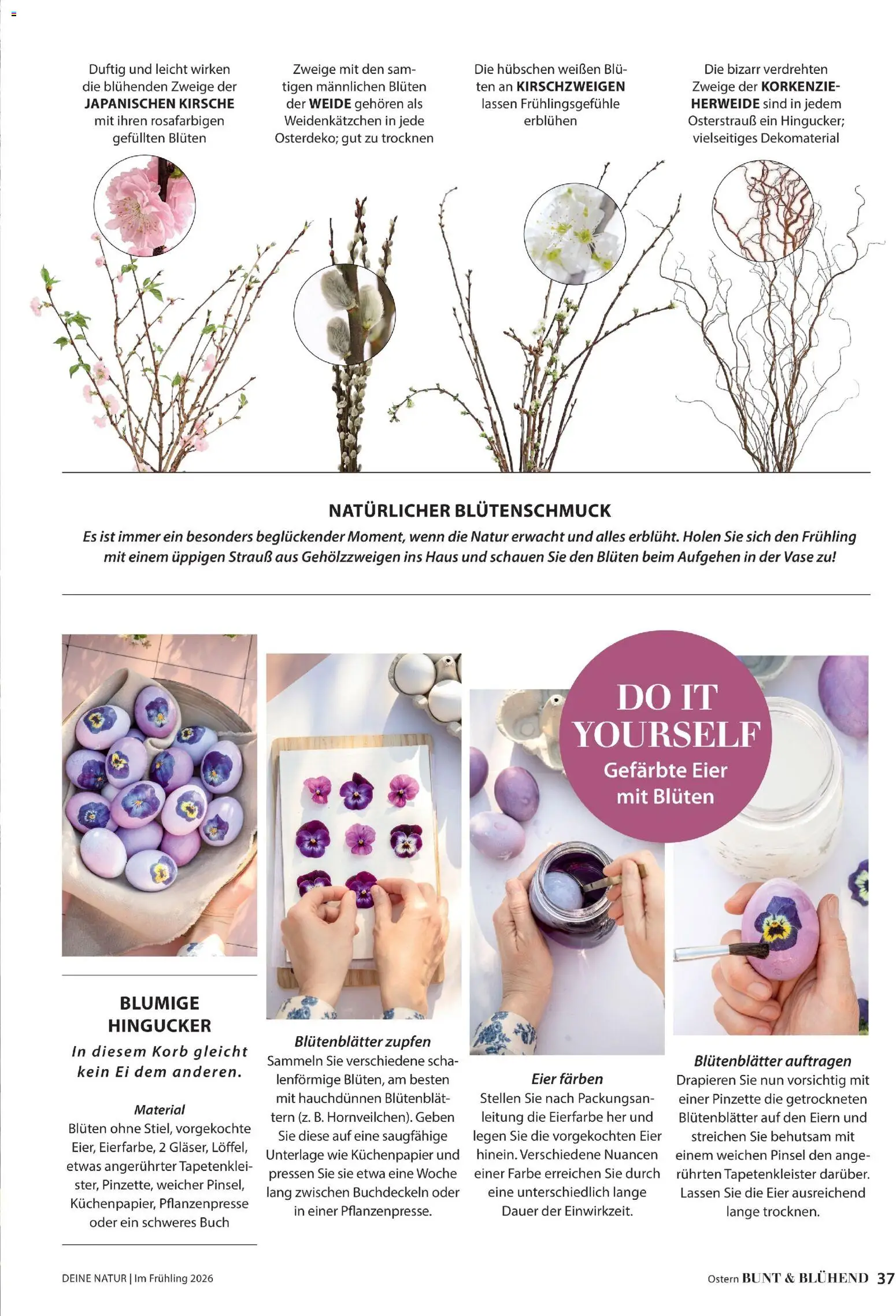 Dehner Flugblatt - page 37- valid from 05.03.2026