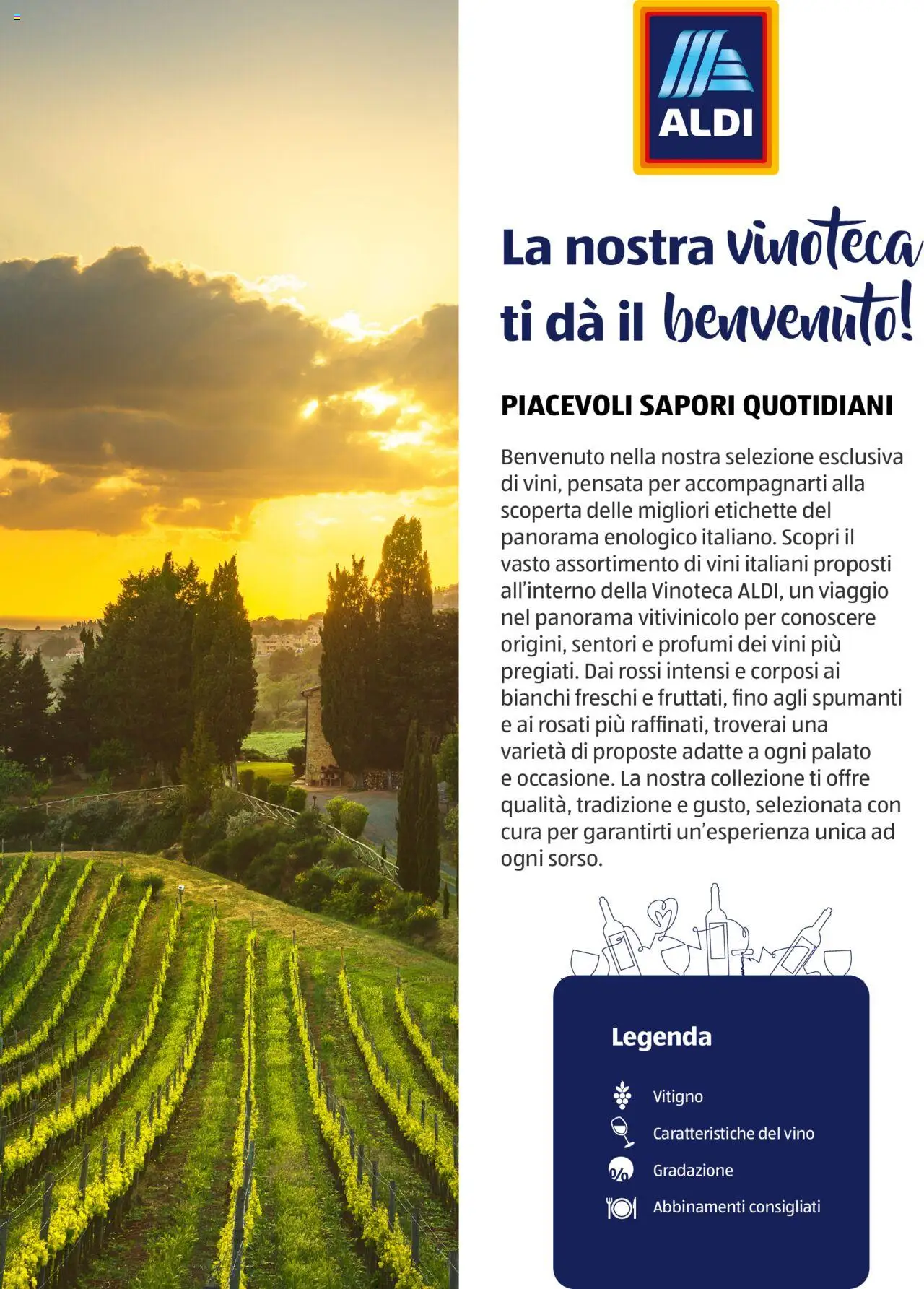 Brochure Vinoteca Aldi	 - pagina 2 - valido dal 05/11/2024