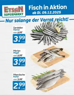 Vorschau ETSAN Fisch in Aktion gültig ab 09.12.2025