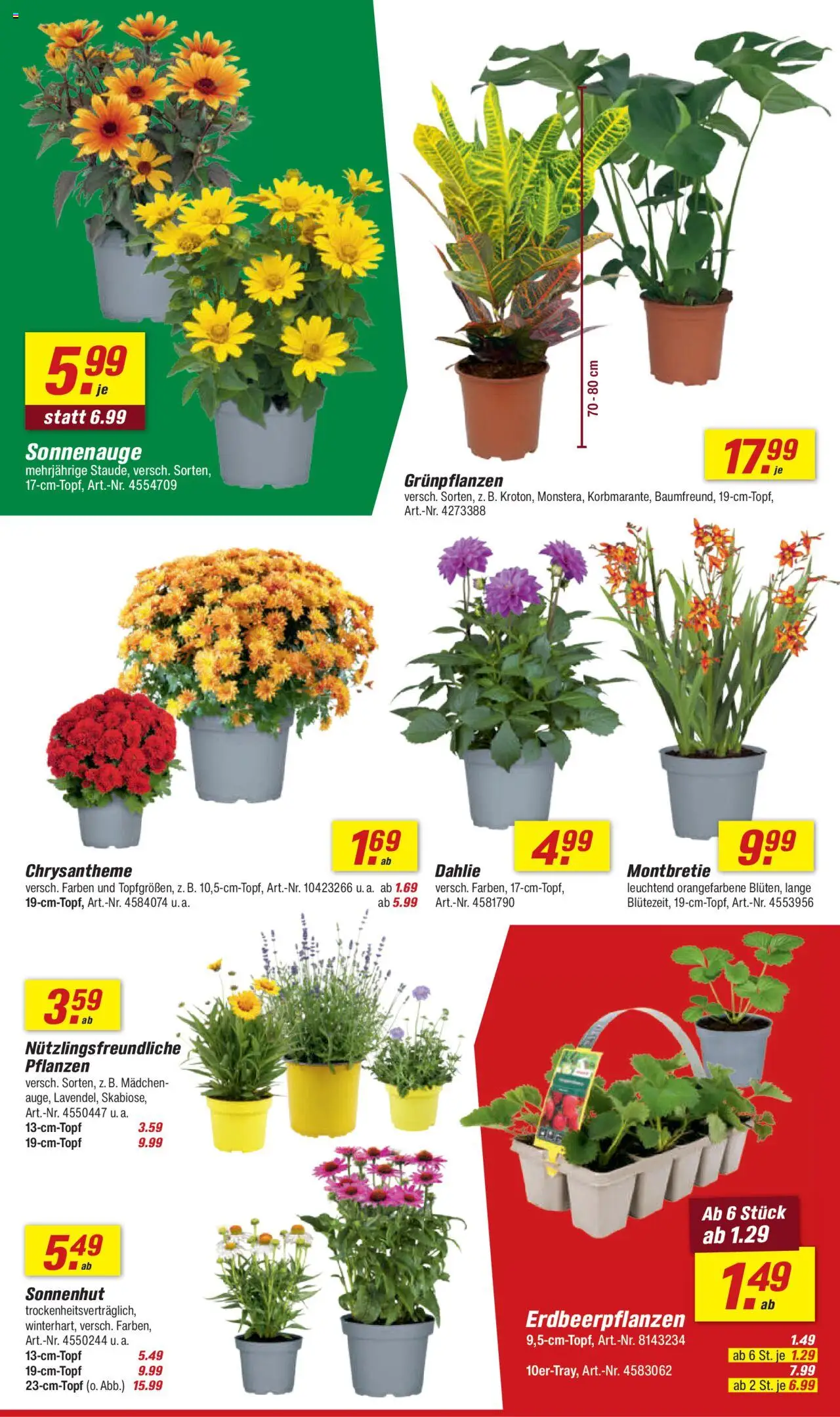 Toom Baumarkt Prospekt 	 - Seite 4 - gültig ab 26.07.2025