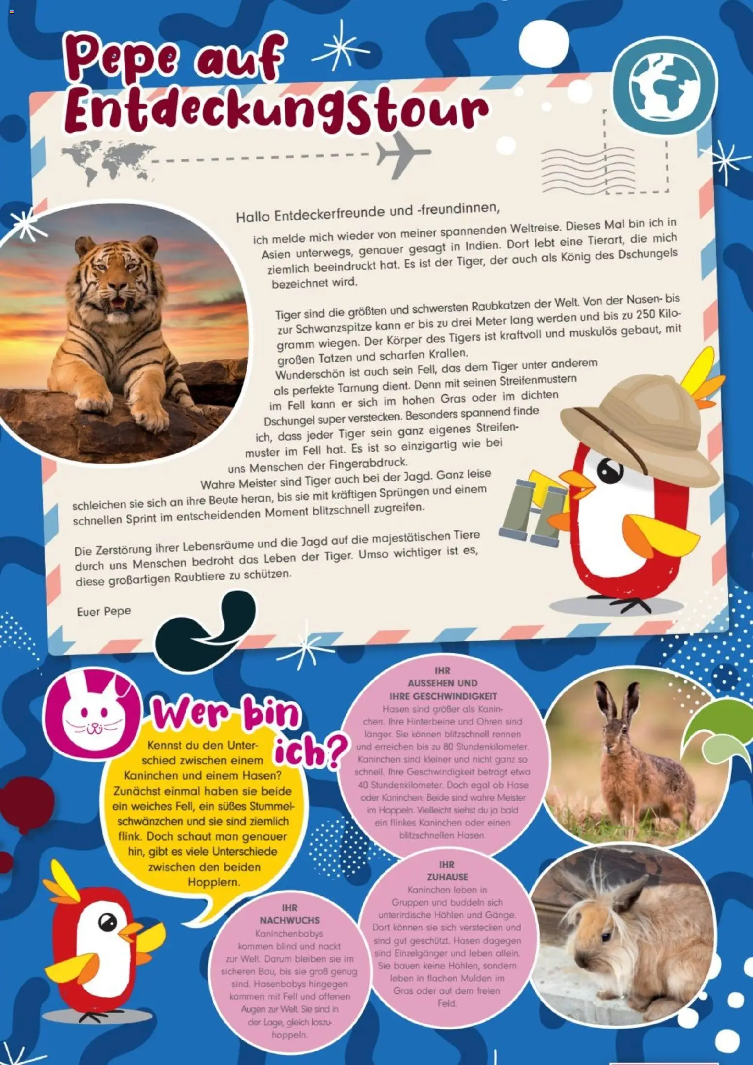 zookauf Kids - Seite 2 - gültig ab 01.12.2025