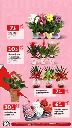 Vista previa del folleto Alcampo - San Valentín válido desde 02/02/2026