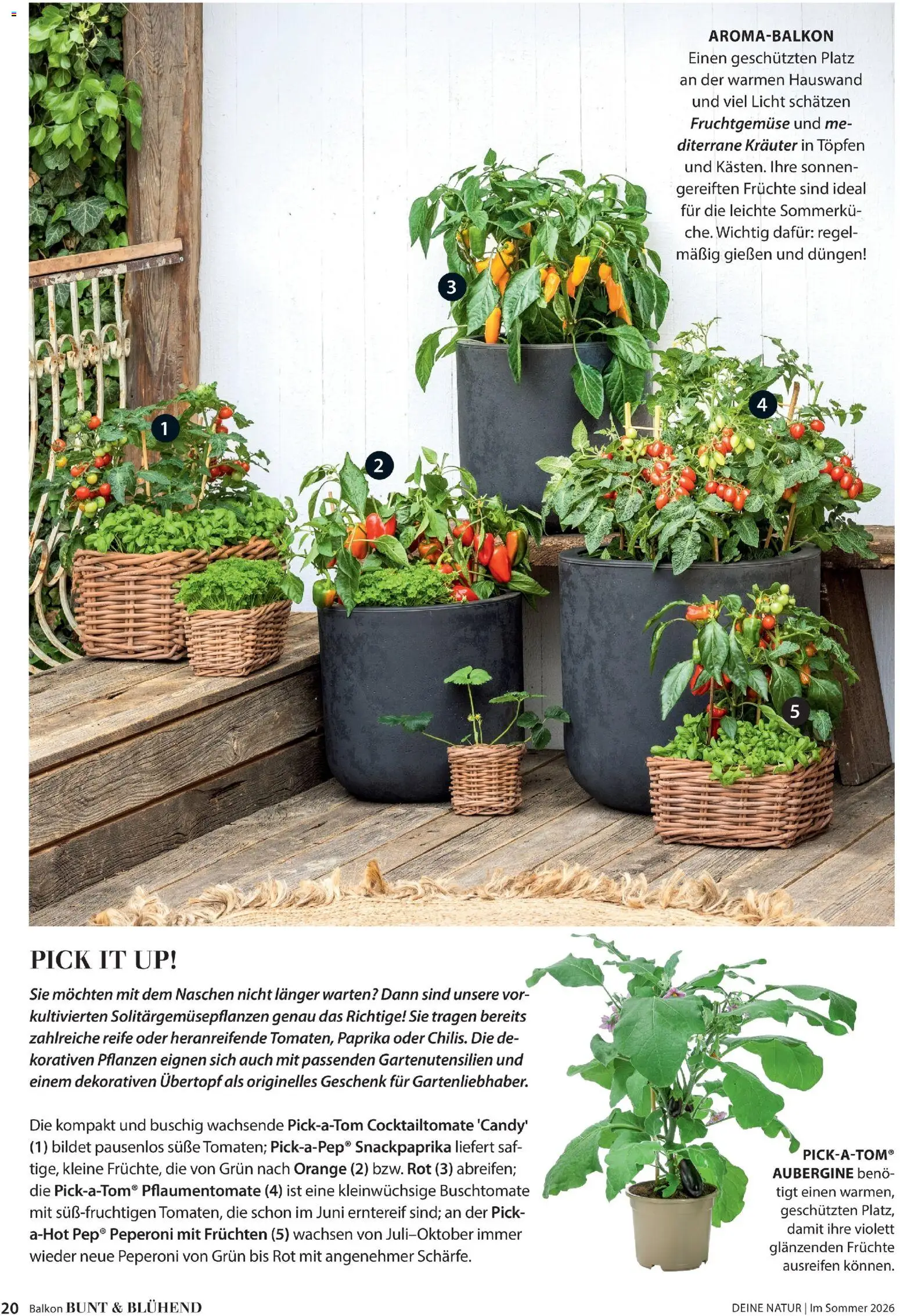 Dehner Prospekt 	 - Seite 20 - gültig ab 17.04.2026