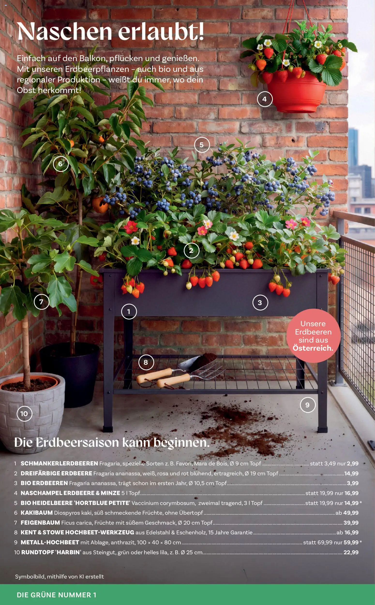 bellaflora Flugblatt - page 4- valid from 02.04.2026