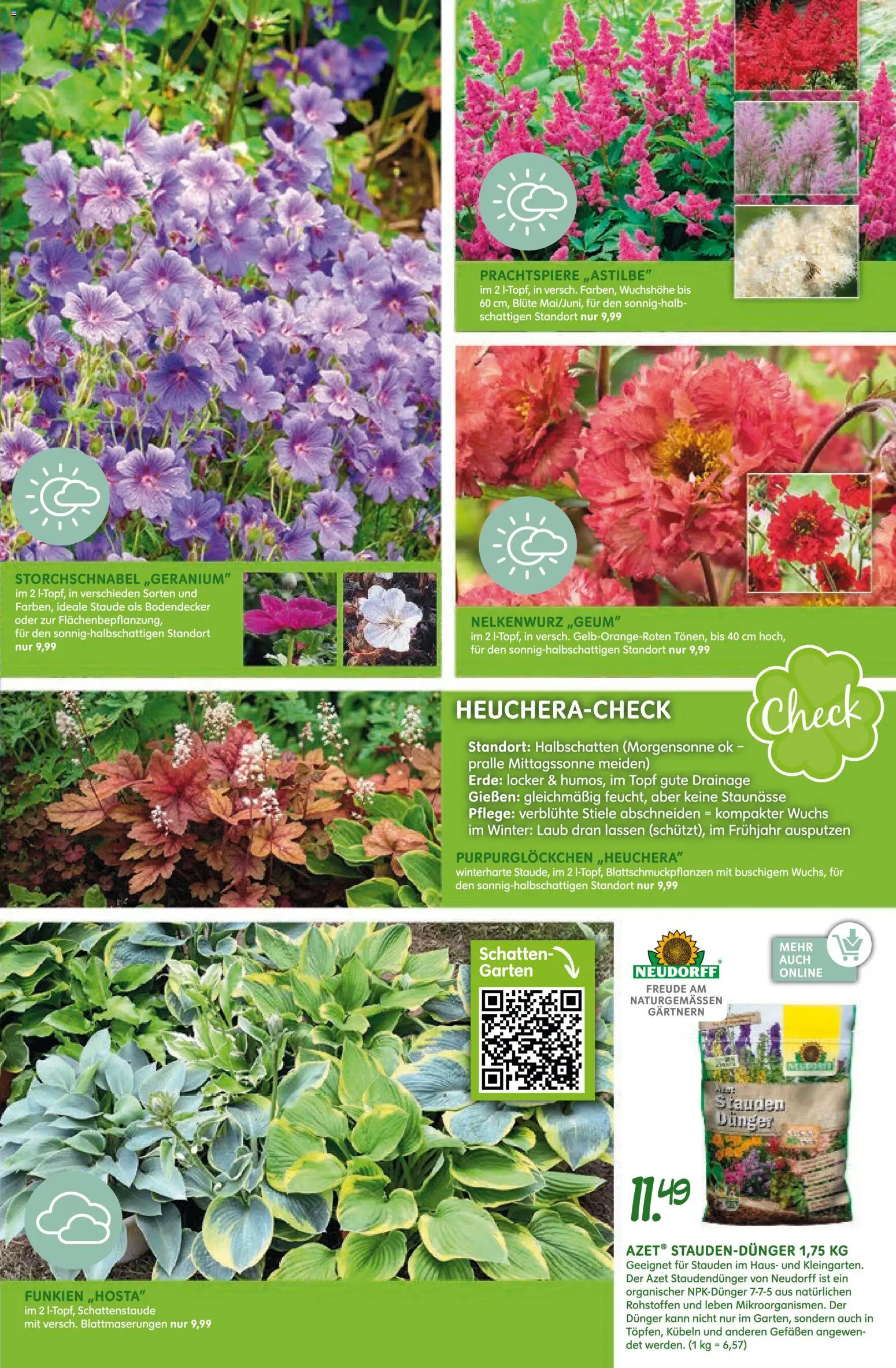 Blumen Risse Prospekt 	 - Seite 11 - gültig ab 16.04.2026