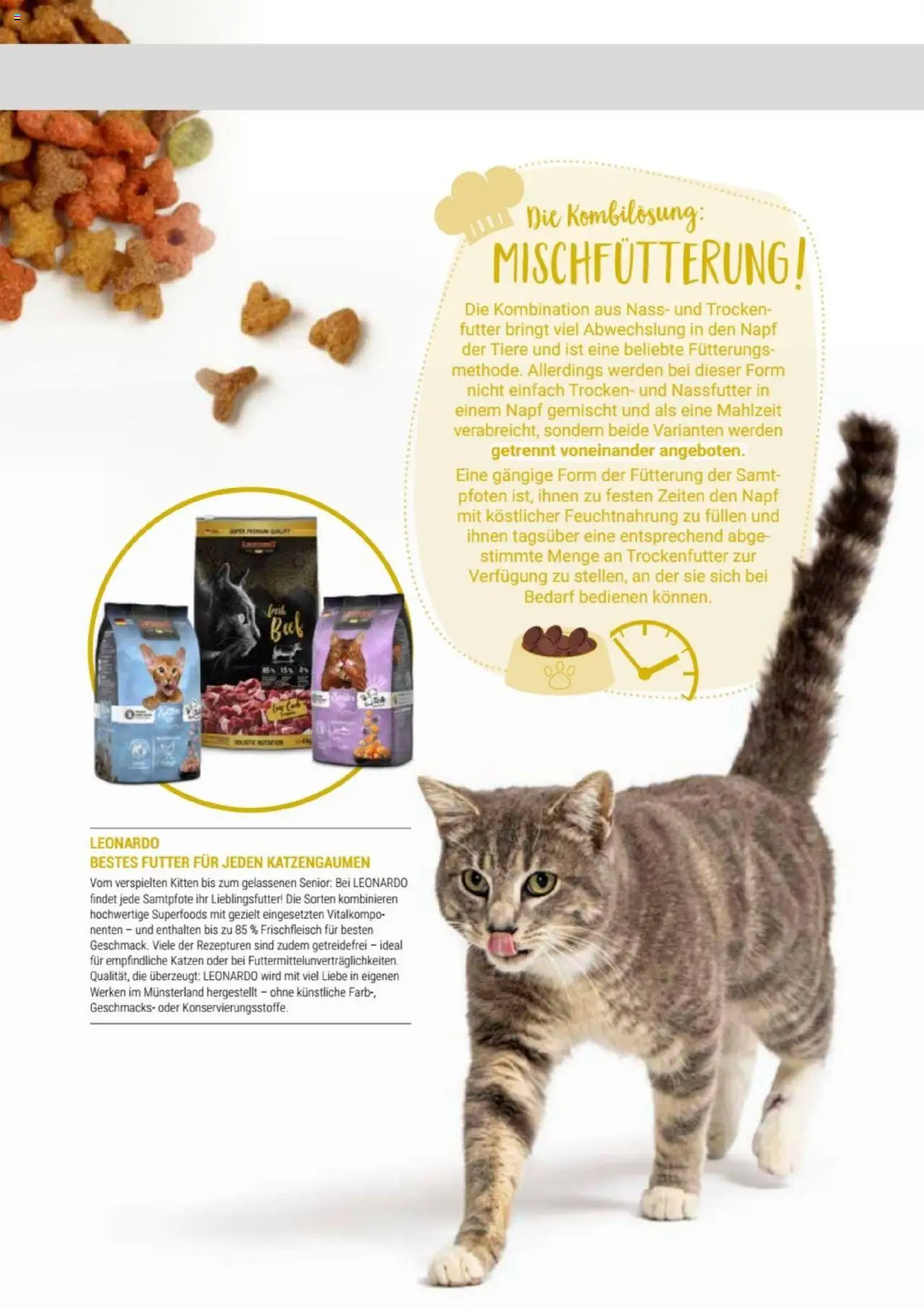 zookauf Themenkatalog Katze - Seite 17 - gültig ab 01.10.2025