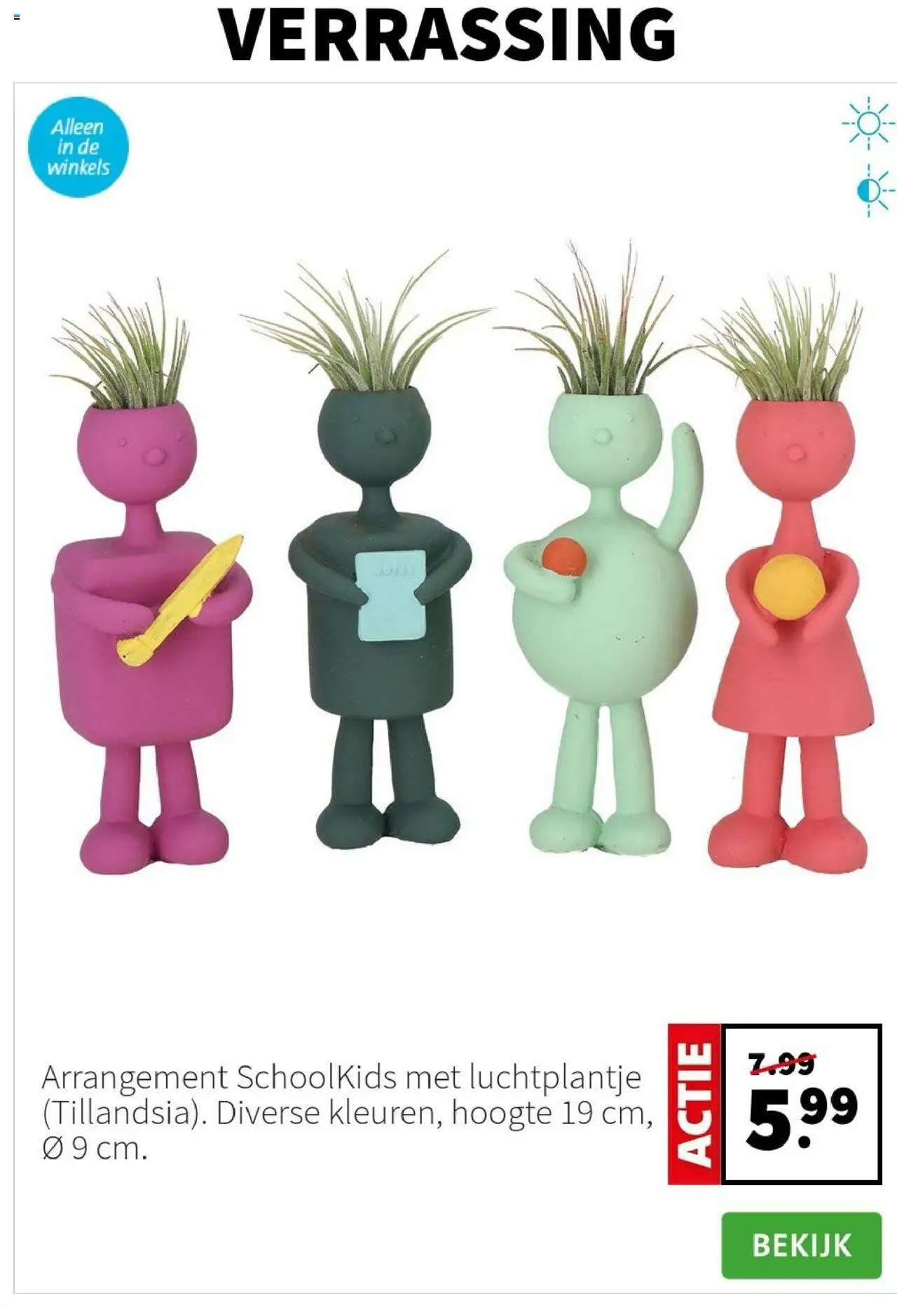 Intratuin - Folder - pagina 2- geldig vanaf 14-07-2025