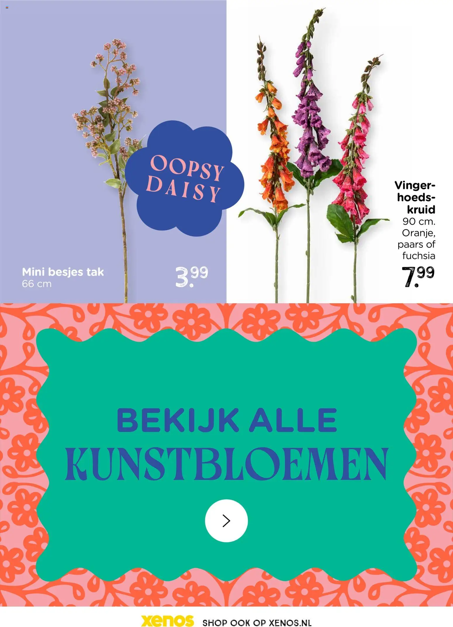 Xenos - Trendmagazine  - page 75- valid from 19-01-2026