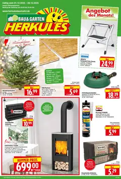 Vorschau HERKULES Bau & Garten gültig ab 01.12.2025