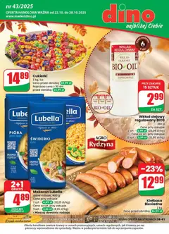 Podgląd Dino Gazetka ważny od 22.10.2025
