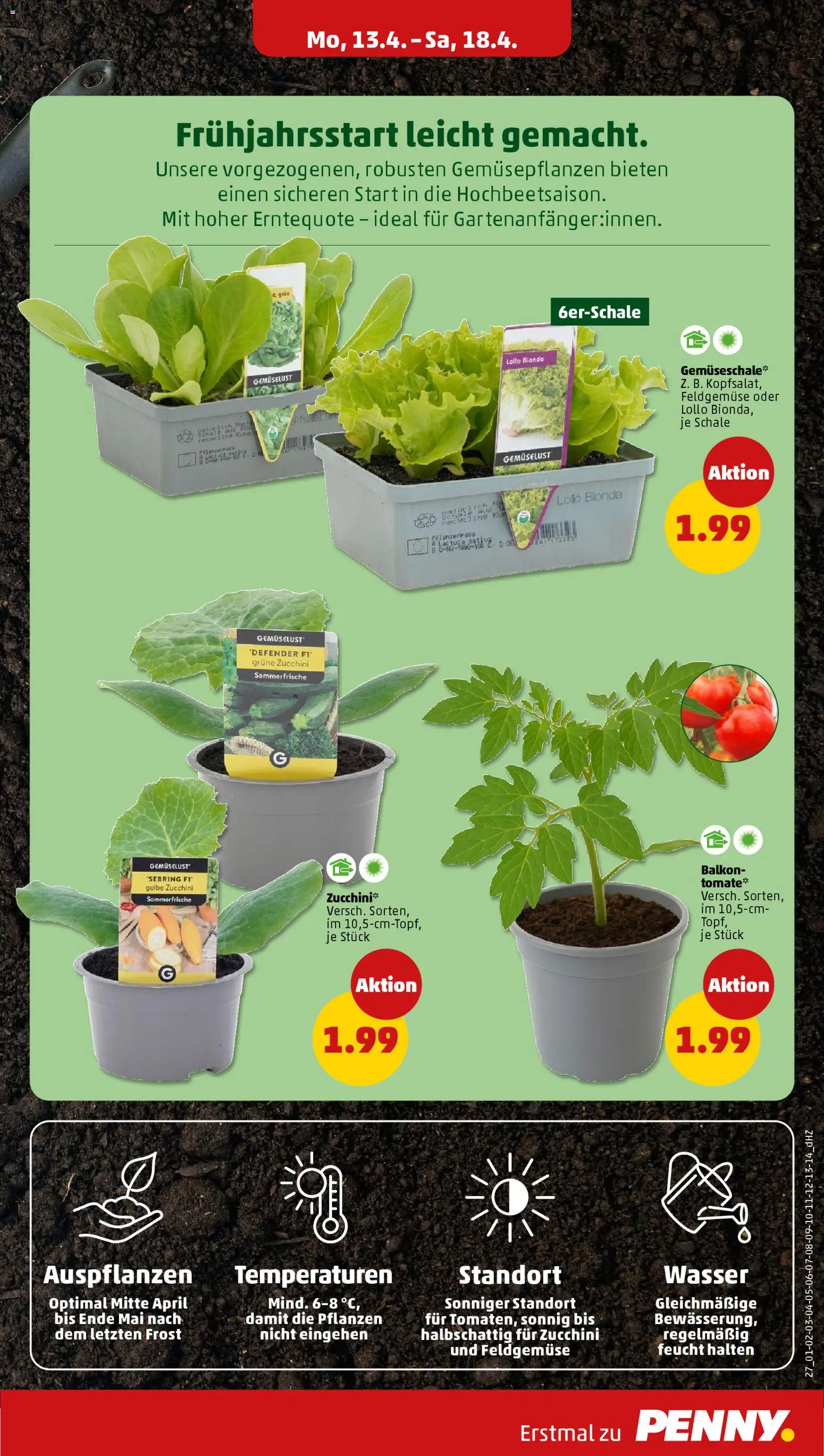 Penny Prospekt 	 - Seite 31 - gültig ab 13.04.2026