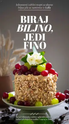 Lidl katalog od 11.03.2025