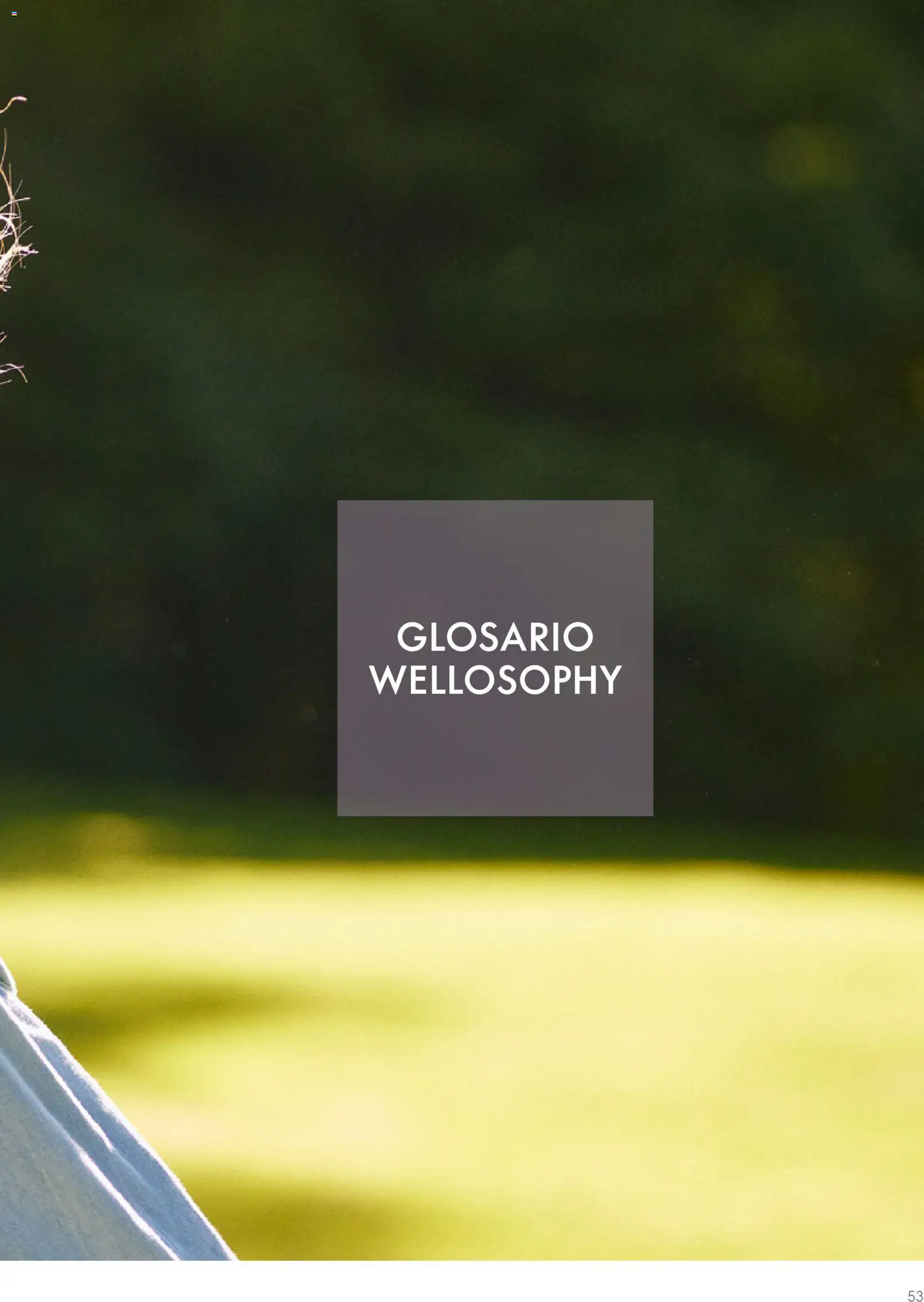 Oriflame - Guía Wellosophy - Página de 53 - Válido desde 01/11/2023