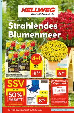 Vorschau Hellweg Prospekt gültig ab 04.08.2025
