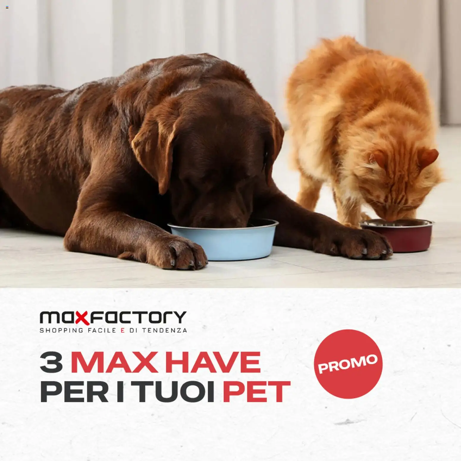 Max Factory volantino - pagina 1 - valido dal 03/03/2026