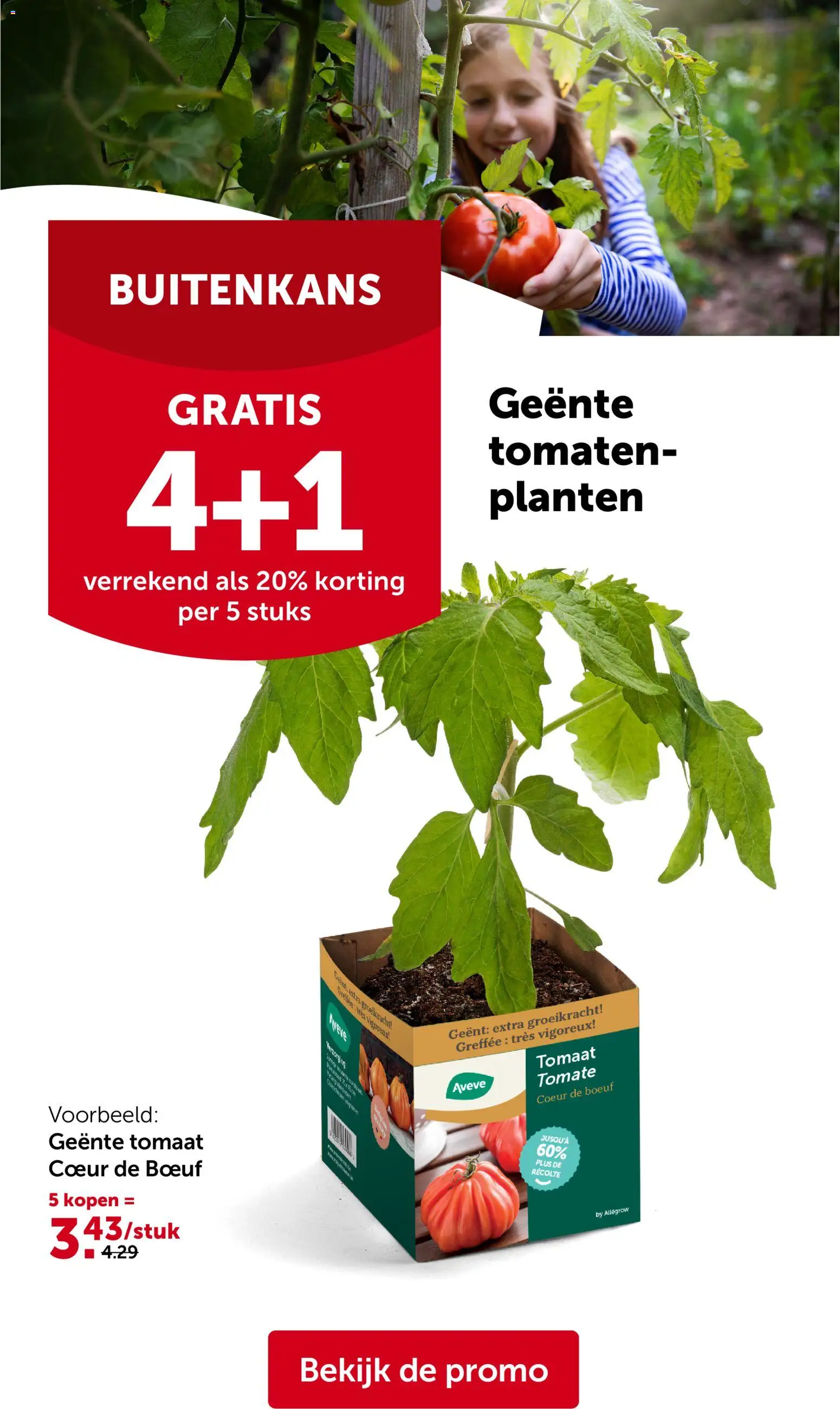 Aveve folder - page 8- valid from 25/03/2026